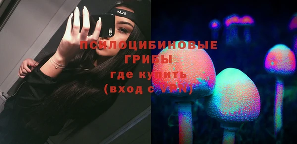 спиды Абаза