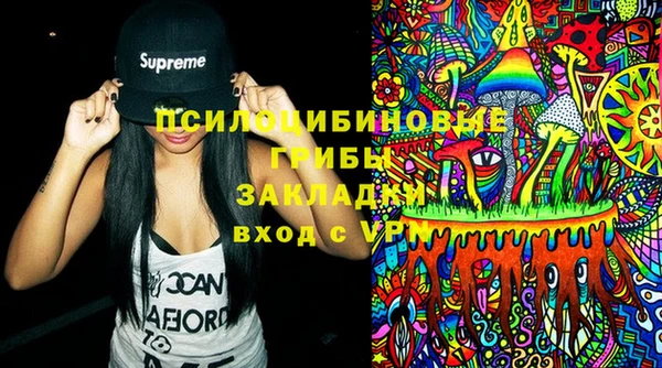 спиды Абаза