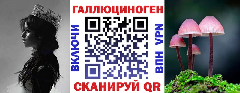 Галлюциногенные грибы прущие грибы  магазин продажи   Томари 